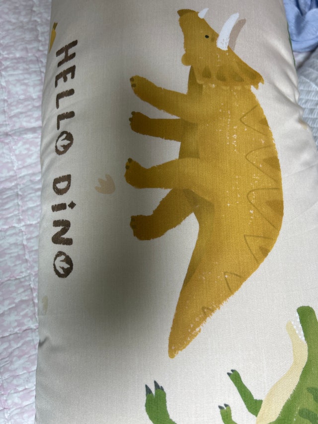 이미지를 찾을 수 없습니다.