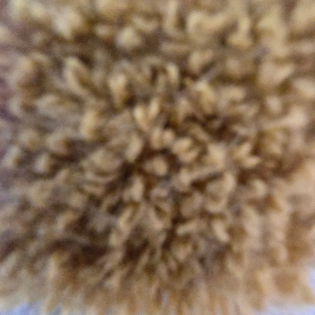 이미지를 찾을 수 없습니다.