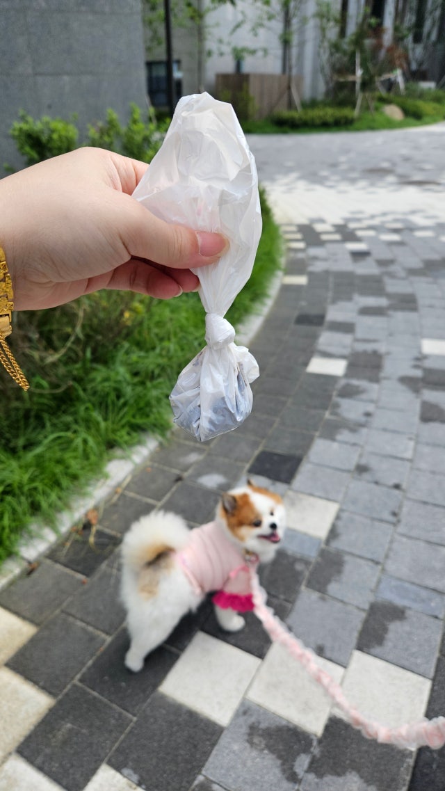 1000142625.jpg?type=w640