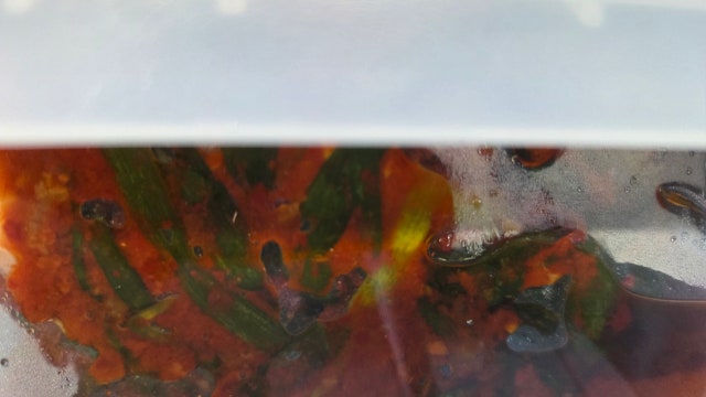 1758283326129.jpg?type=w640