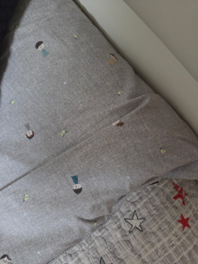 이미지를 찾을 수 없습니다.