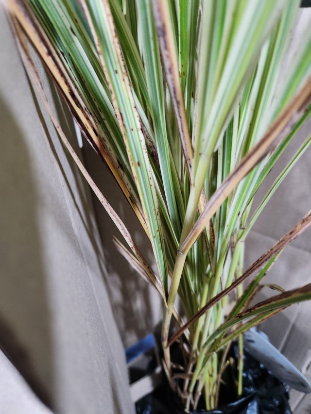 1000013030.jpg?type=w640