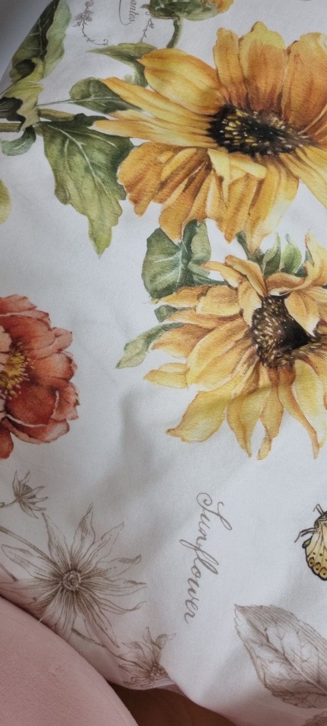 이미지를 찾을 수 없습니다.