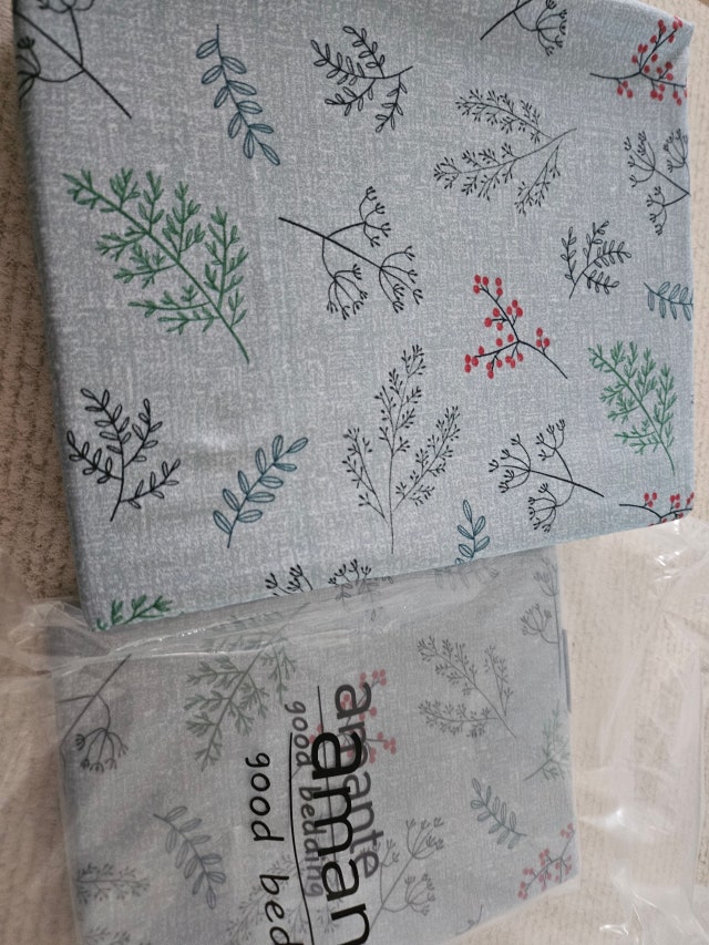 이미지를 찾을 수 없습니다.