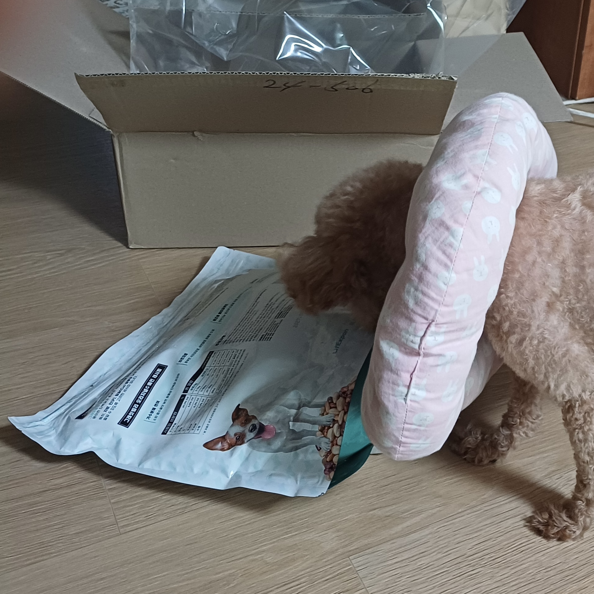 리뷰 이미지