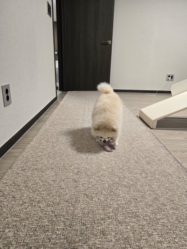 1000023427.jpg?type=w640