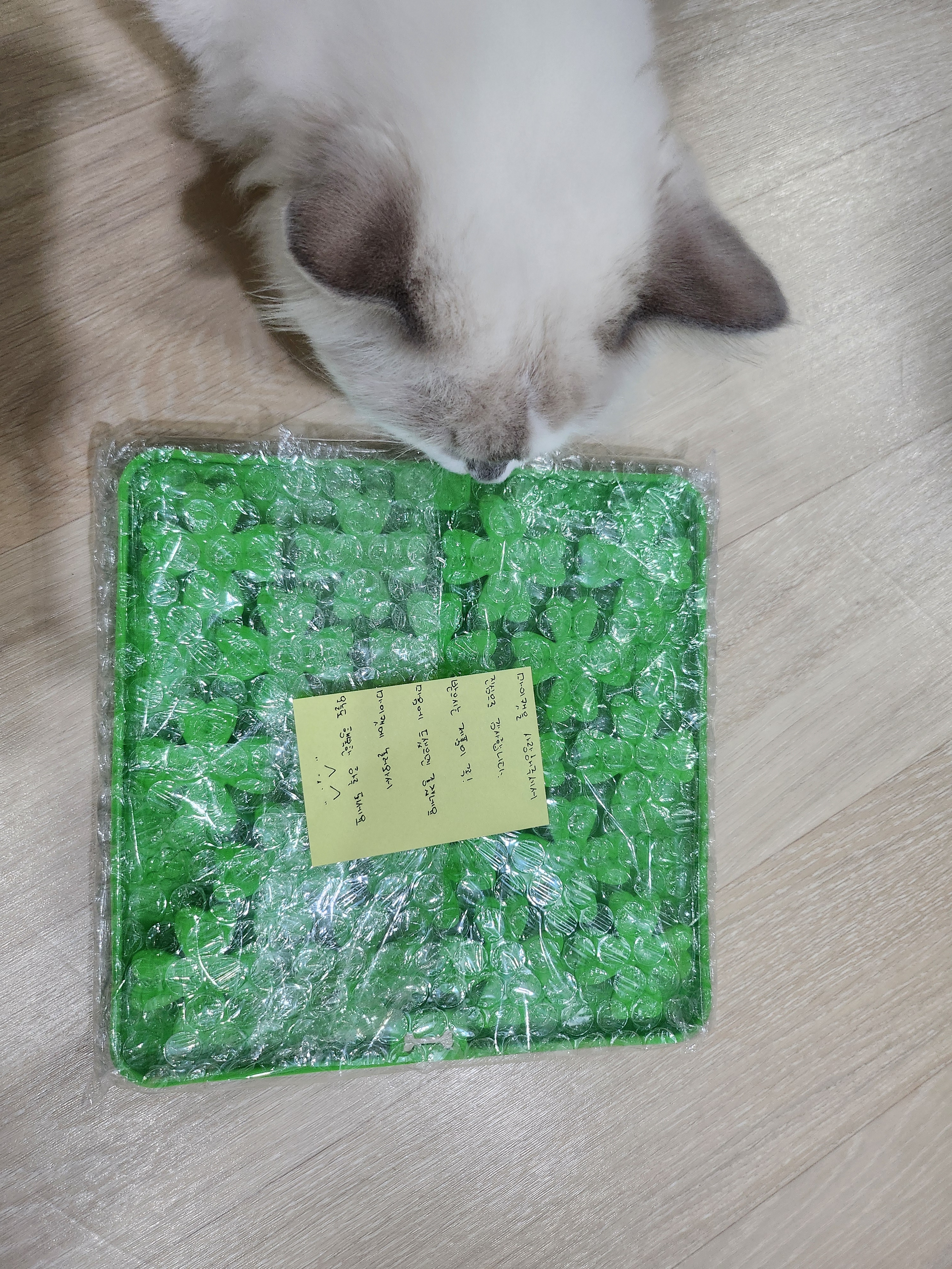 리뷰 이미지