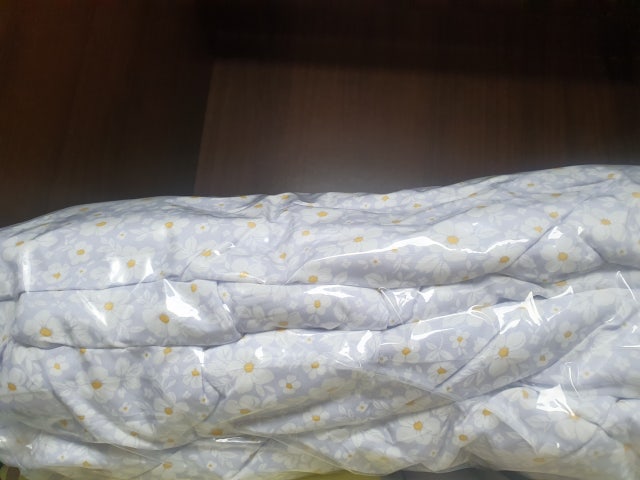 이미지를 찾을 수 없습니다.