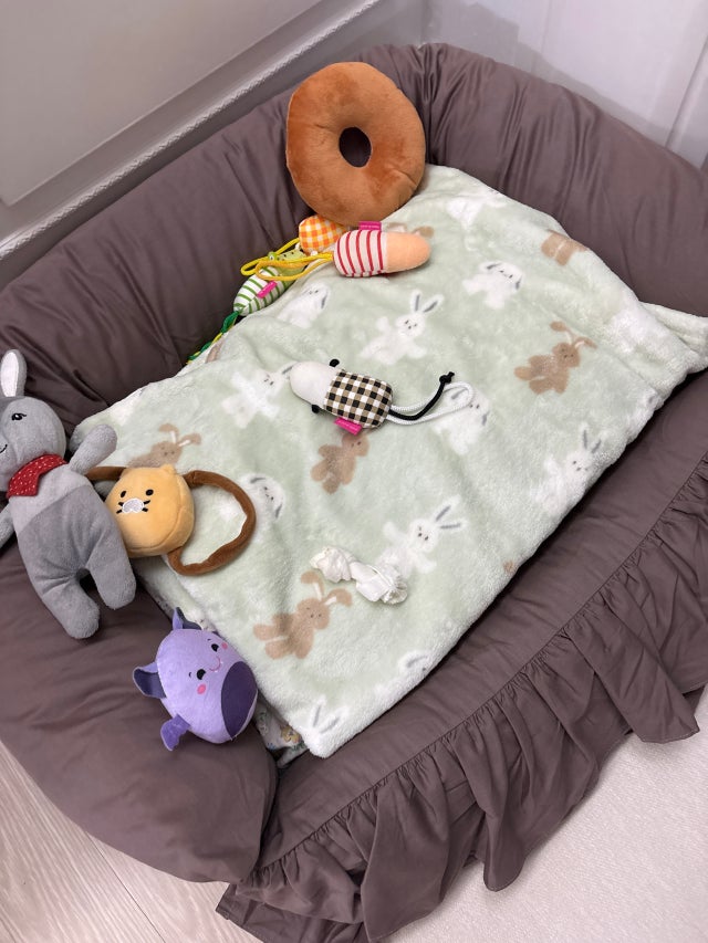 이미지를 찾을 수 없습니다.