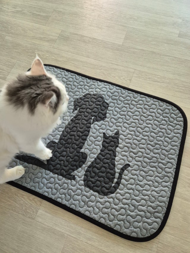 이미지를 찾을 수 없습니다.