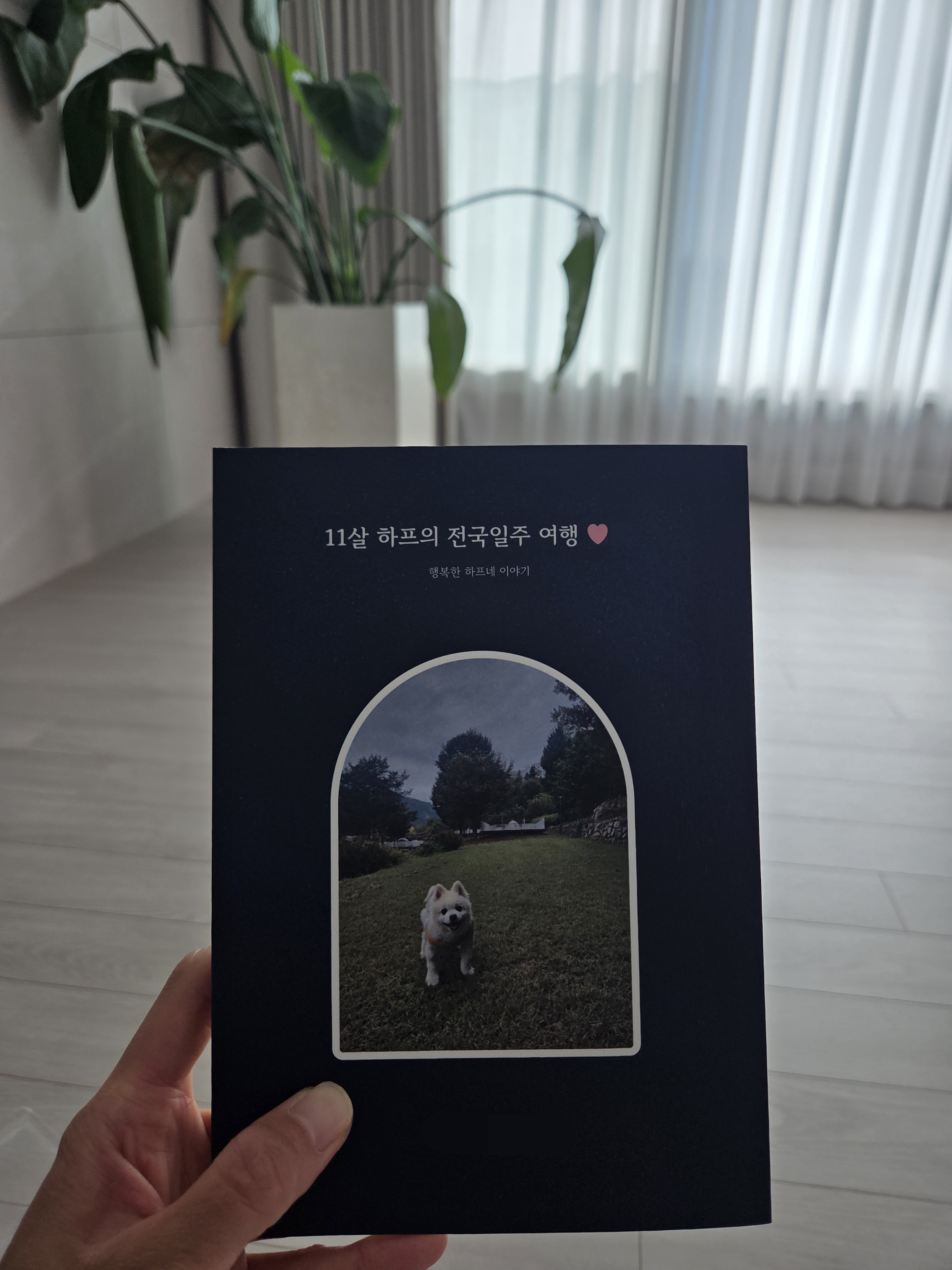 후기 사진 1