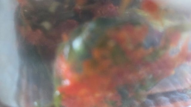 1761091270500.jpg?type=w640