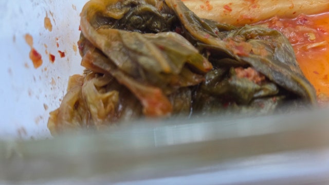 1761091360199.jpg?type=w640