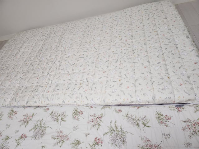 이미지를 찾을 수 없습니다.