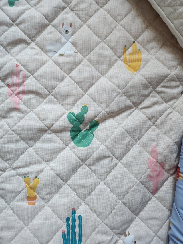 이미지를 찾을 수 없습니다.