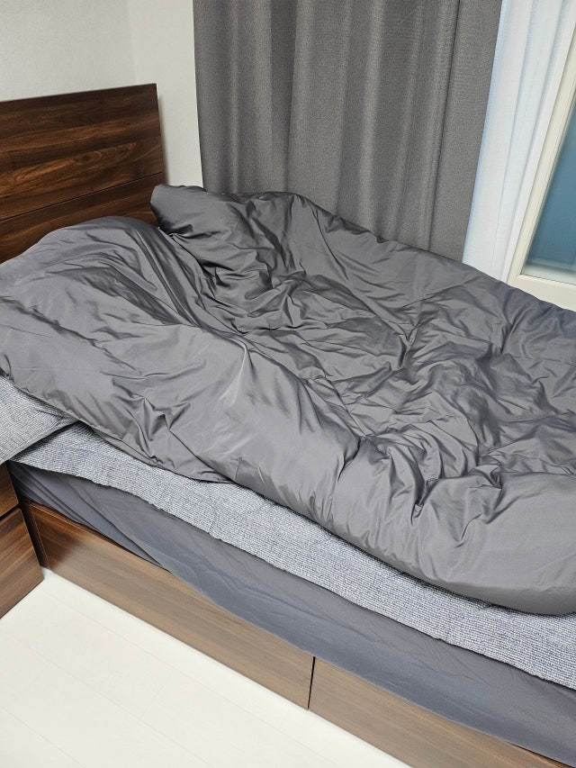 이미지를 찾을 수 없습니다.