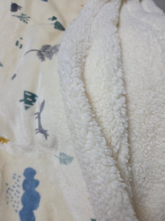 이미지를 찾을 수 없습니다.