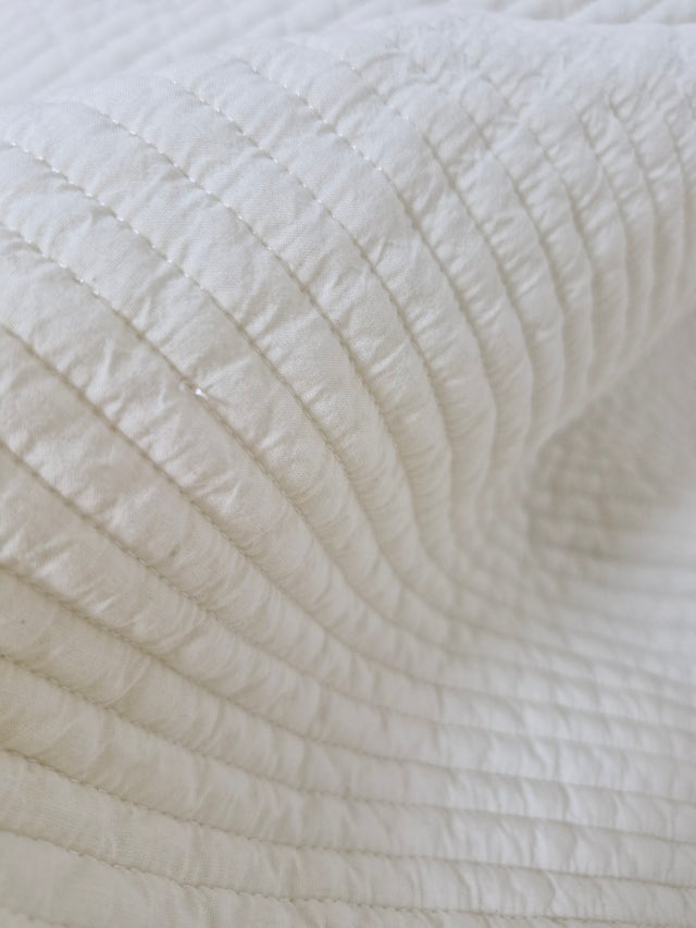 이미지를 찾을 수 없습니다.