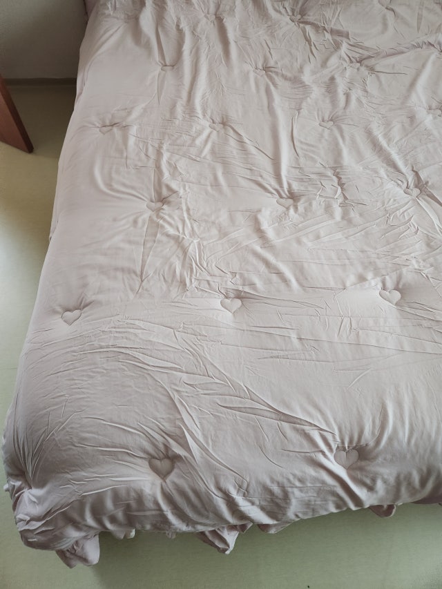 이미지를 찾을 수 없습니다.