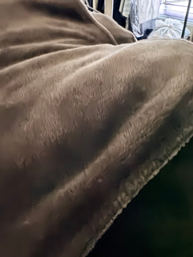 이미지를 찾을 수 없습니다.