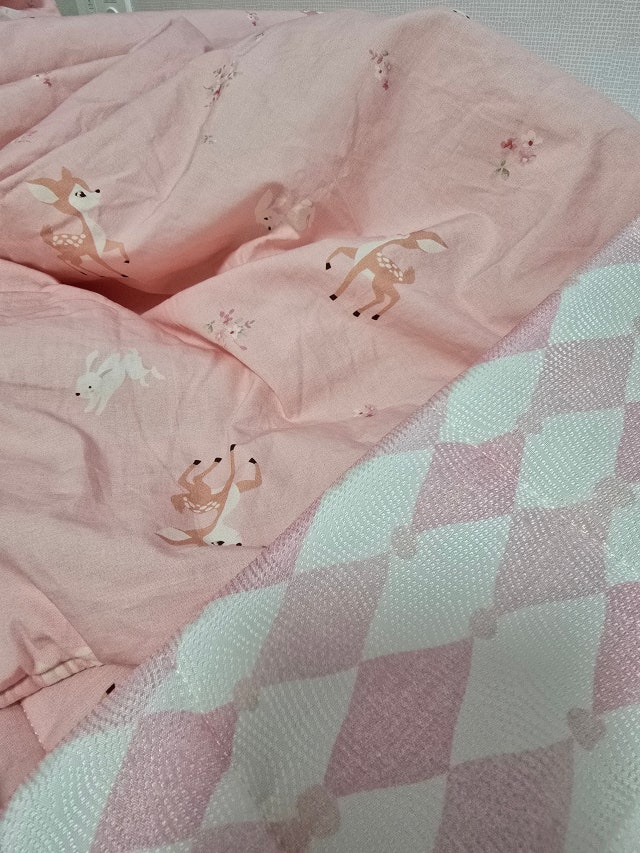 이미지를 찾을 수 없습니다.