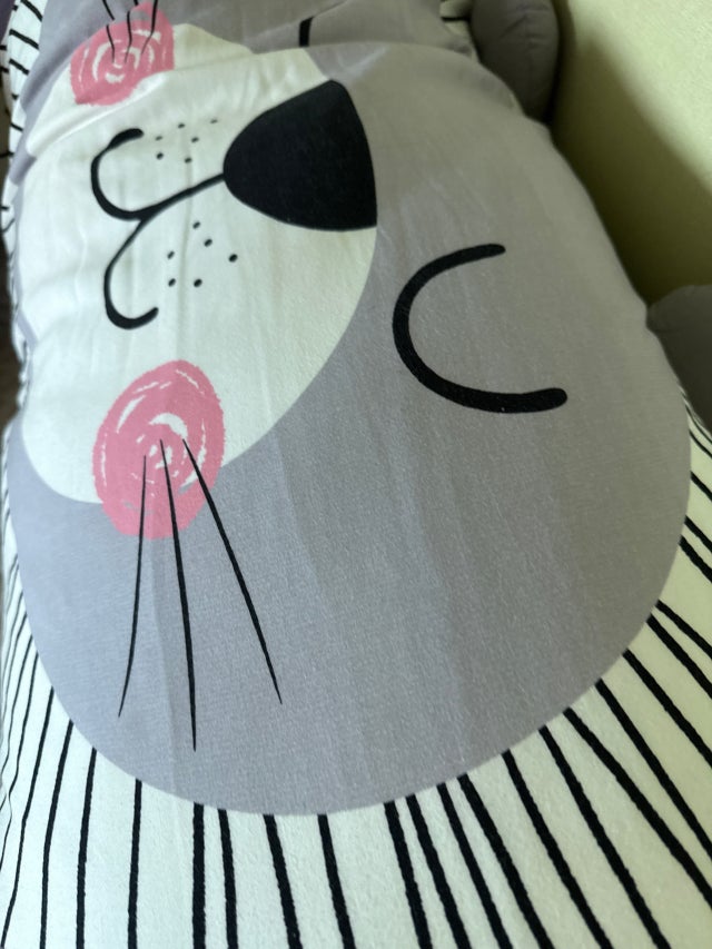 이미지를 찾을 수 없습니다.