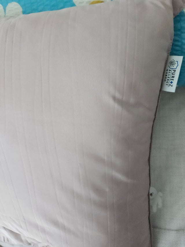 이미지를 찾을 수 없습니다.