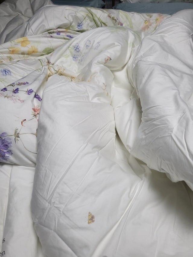 이미지를 찾을 수 없습니다.