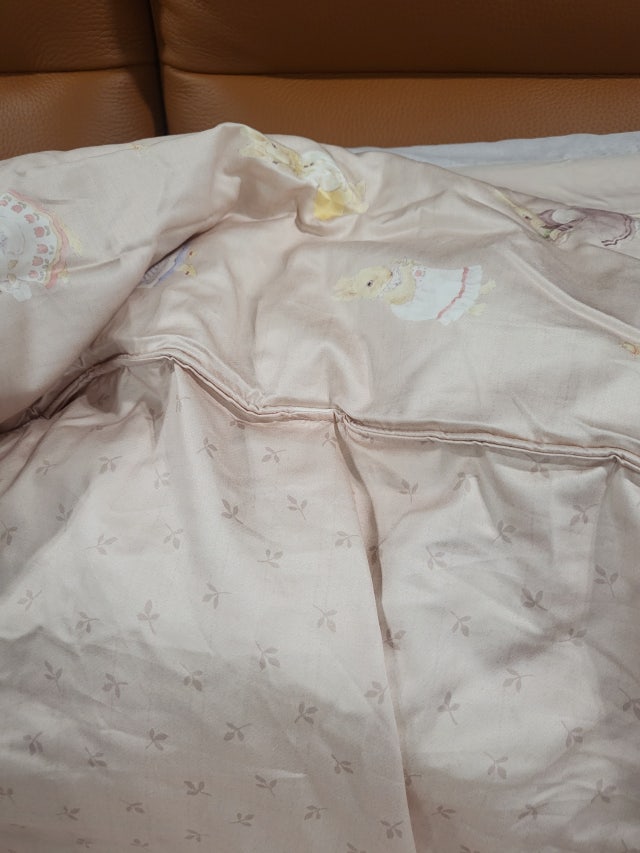 이미지를 찾을 수 없습니다.