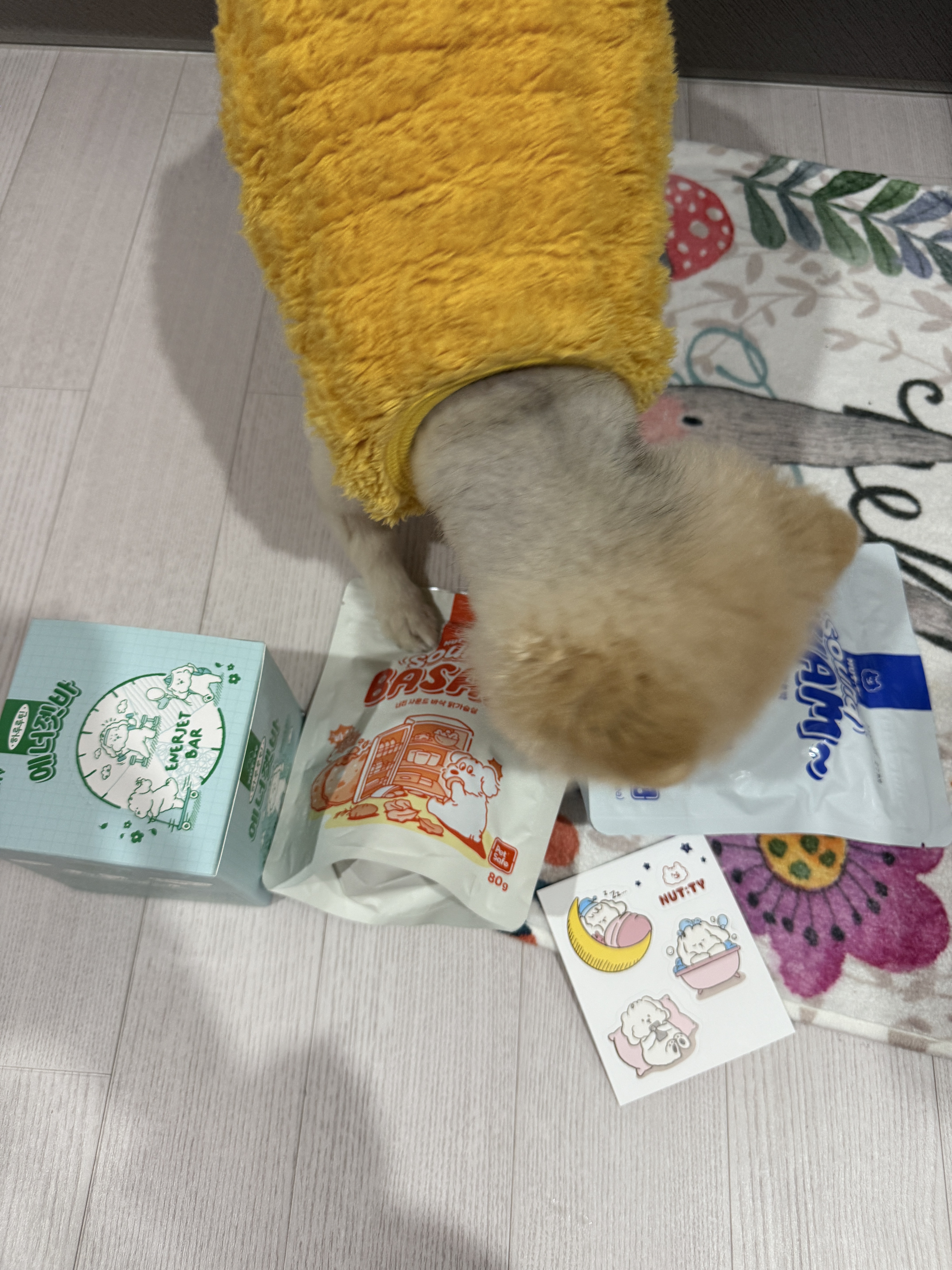 리뷰 이미지