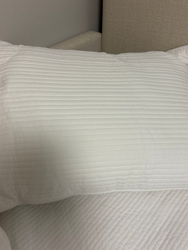 이미지를 찾을 수 없습니다.