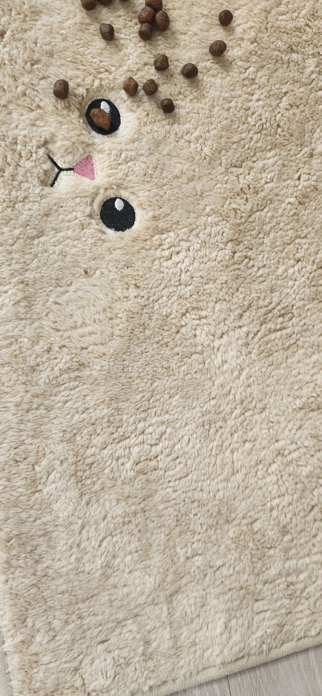 1000049078.jpg?type=w640