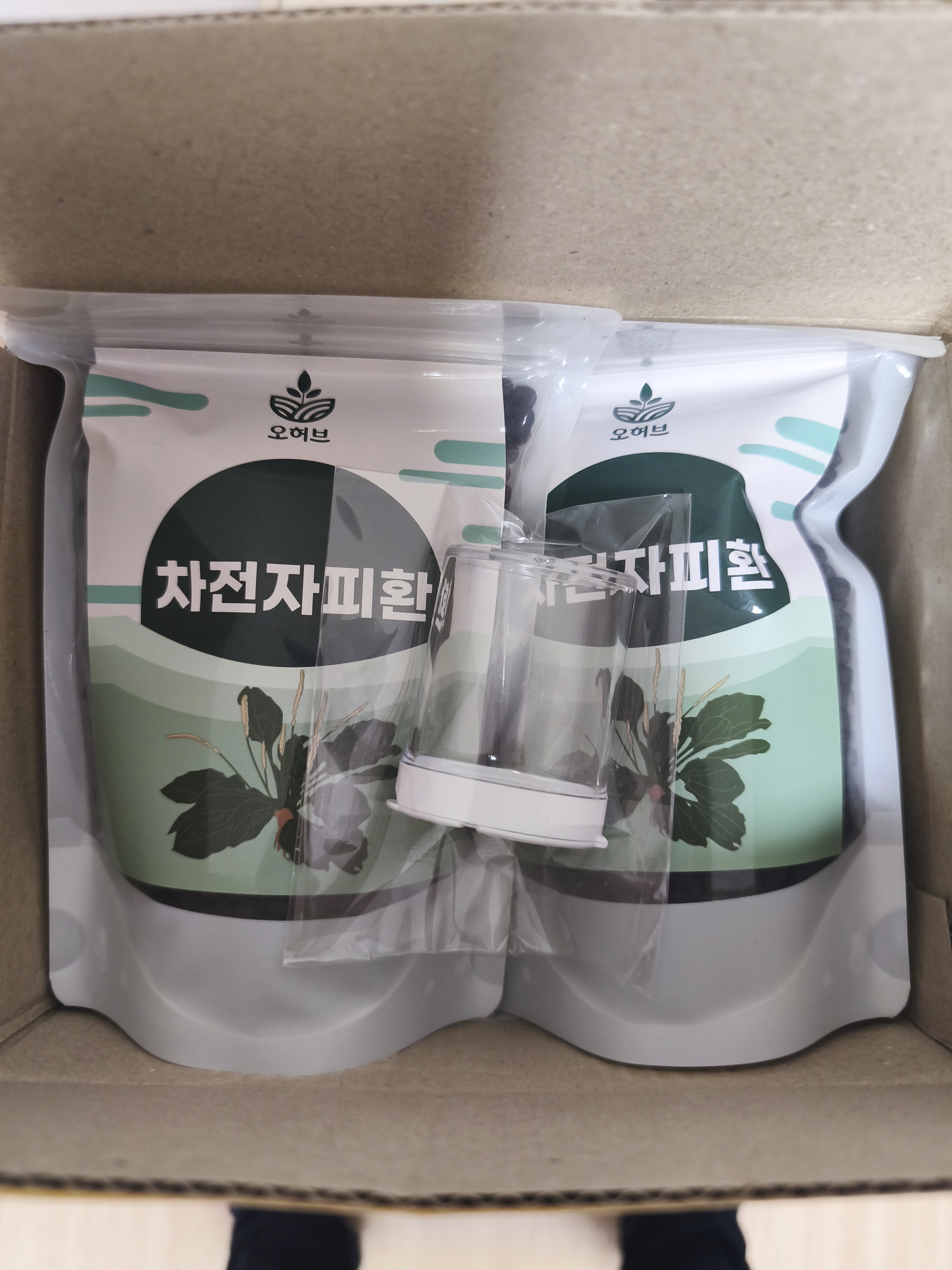 리뷰 이미지