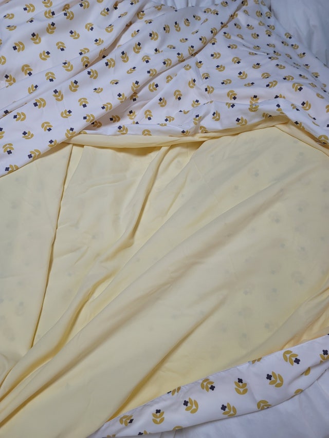 이미지를 찾을 수 없습니다.