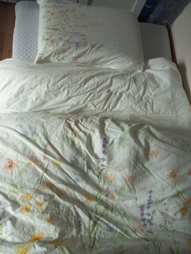 이미지를 찾을 수 없습니다.