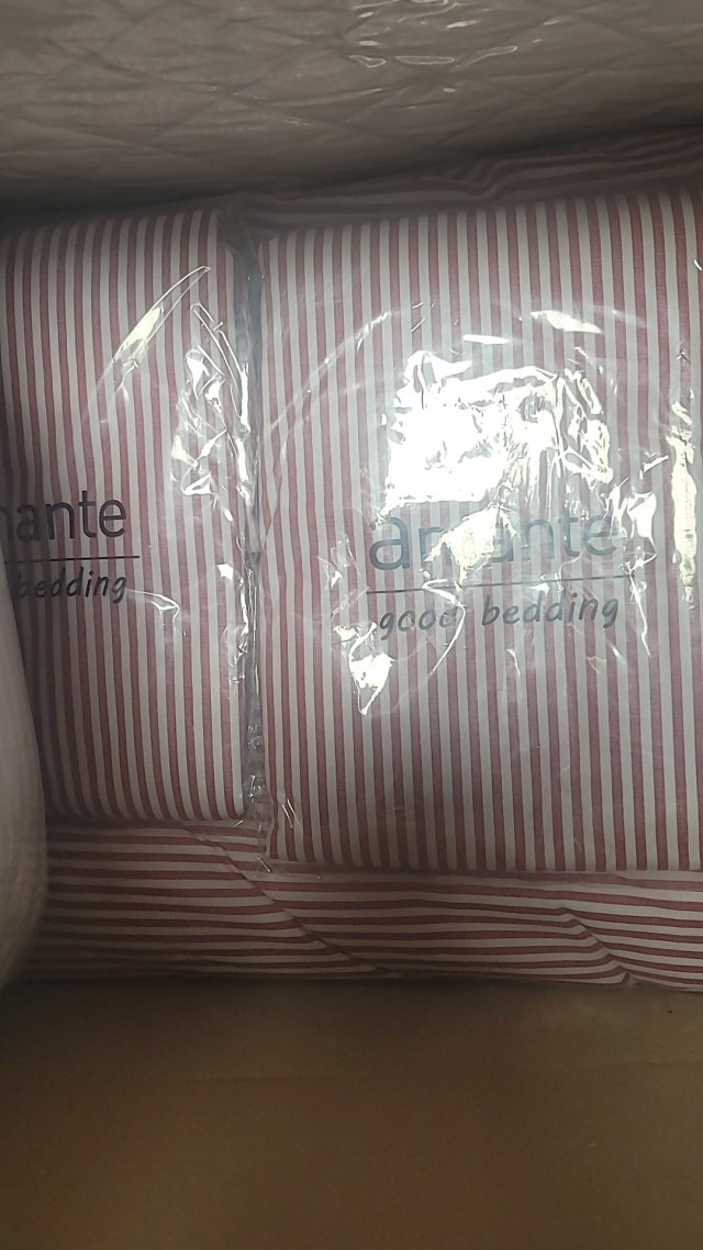 이미지를 찾을 수 없습니다.