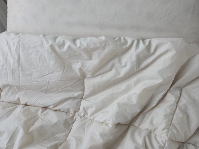 이미지를 찾을 수 없습니다.