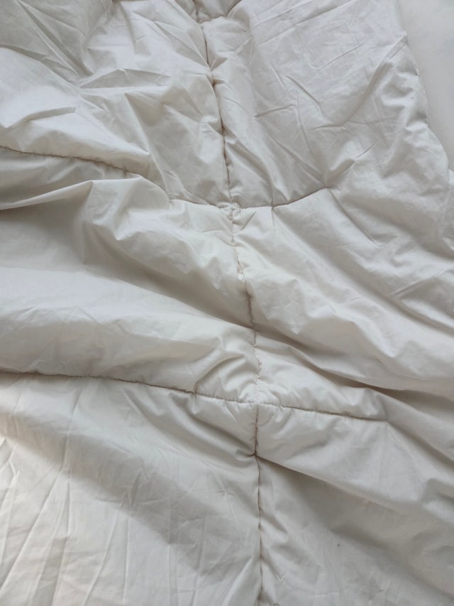 이미지를 찾을 수 없습니다.