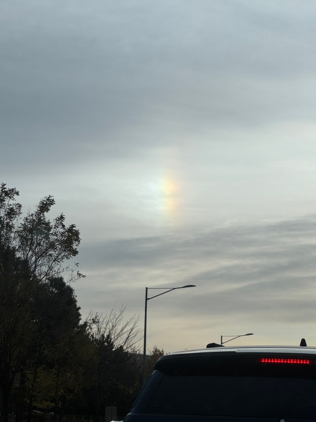 IMG_6761.jpeg?type=w640