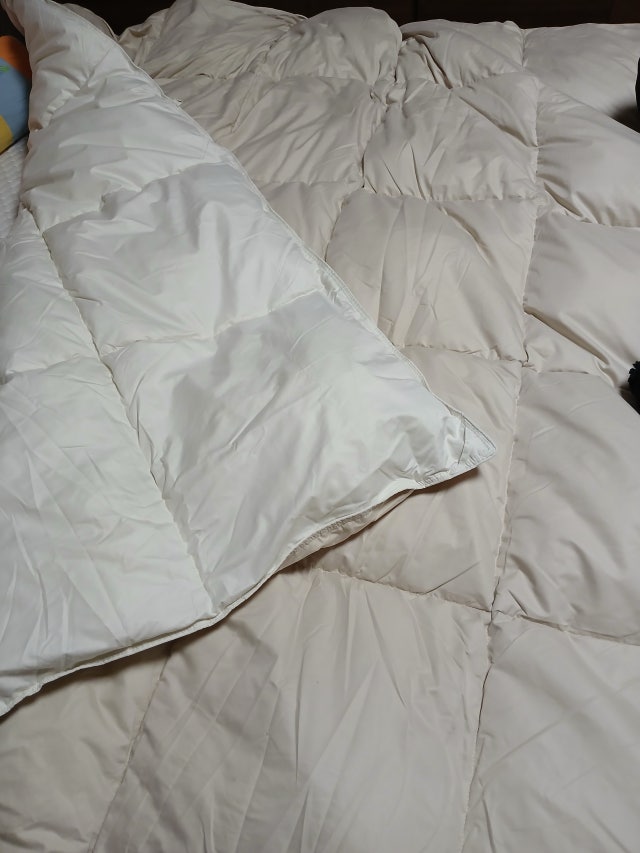 이미지를 찾을 수 없습니다.