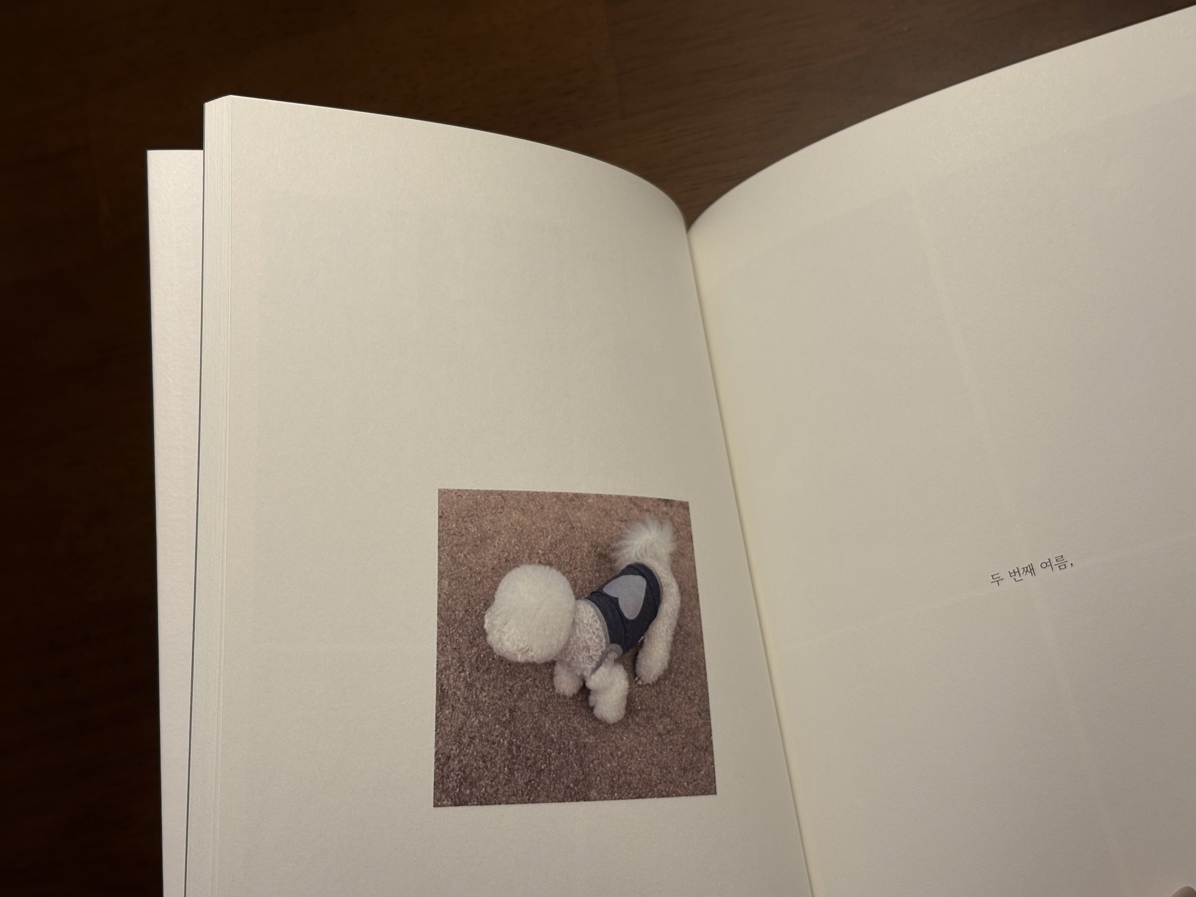 후기 사진 6