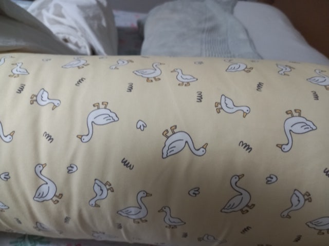 이미지를 찾을 수 없습니다.