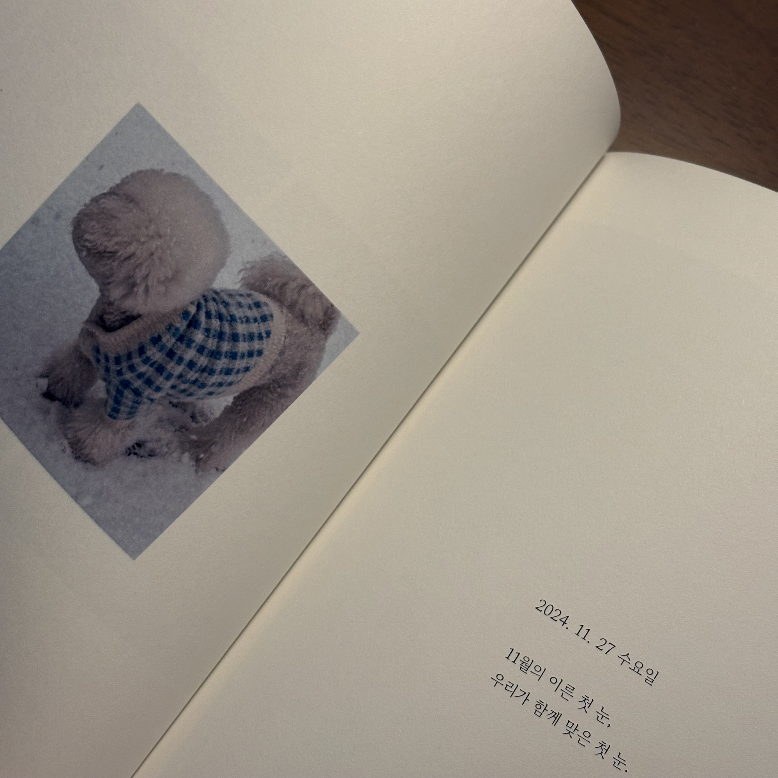 후기 사진 4