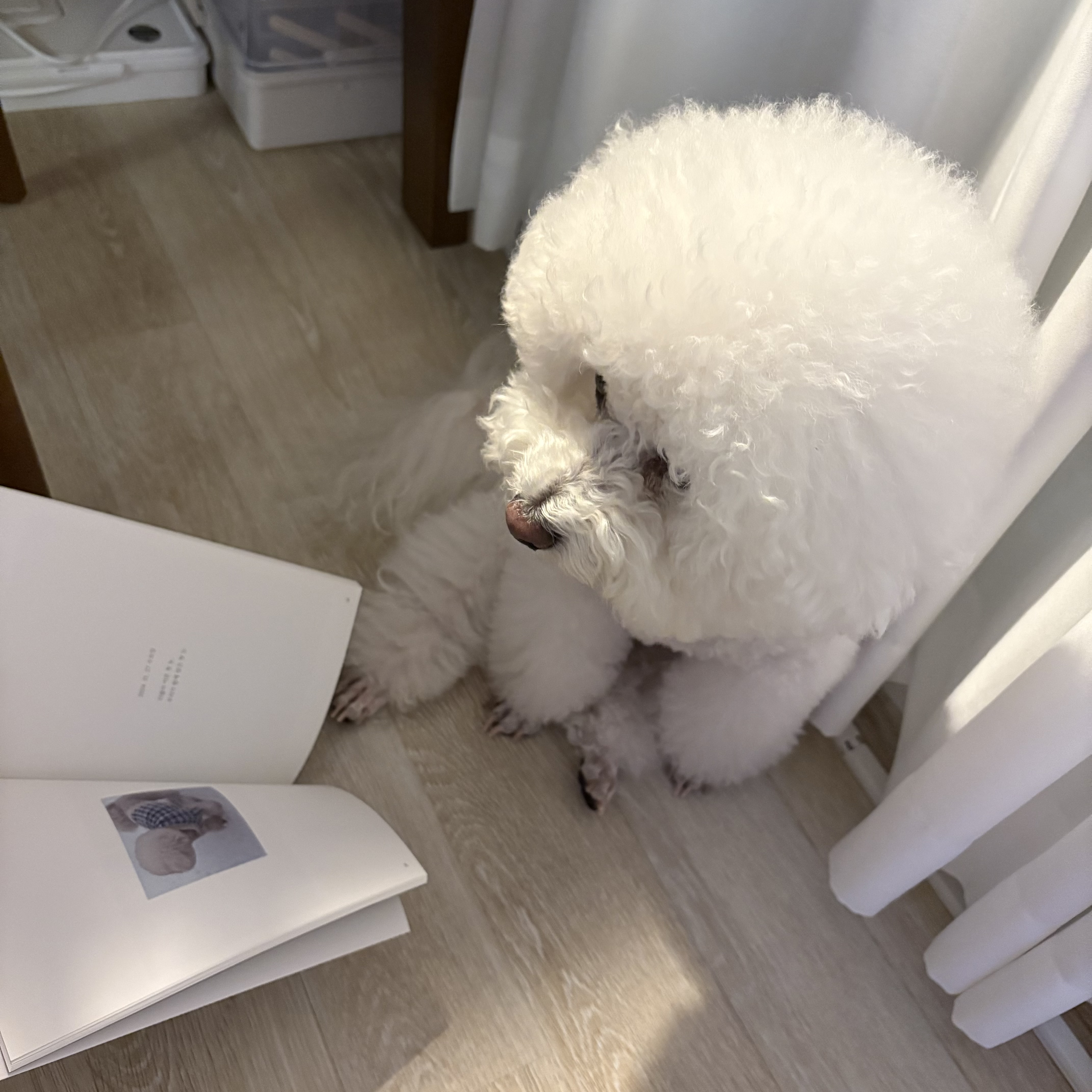 후기 사진 8
