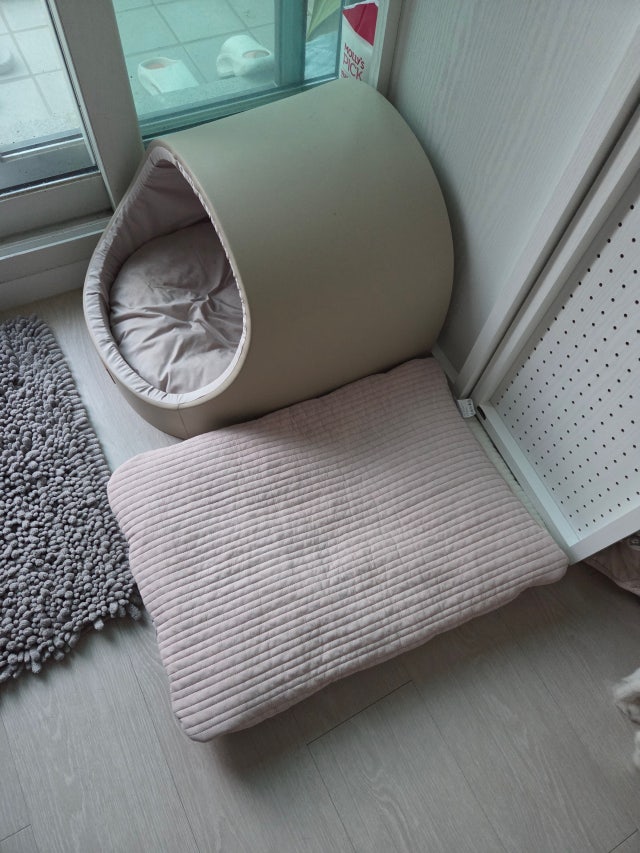 이미지를 찾을 수 없습니다.