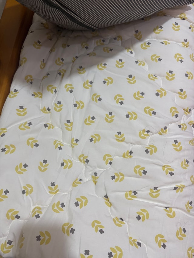 이미지를 찾을 수 없습니다.