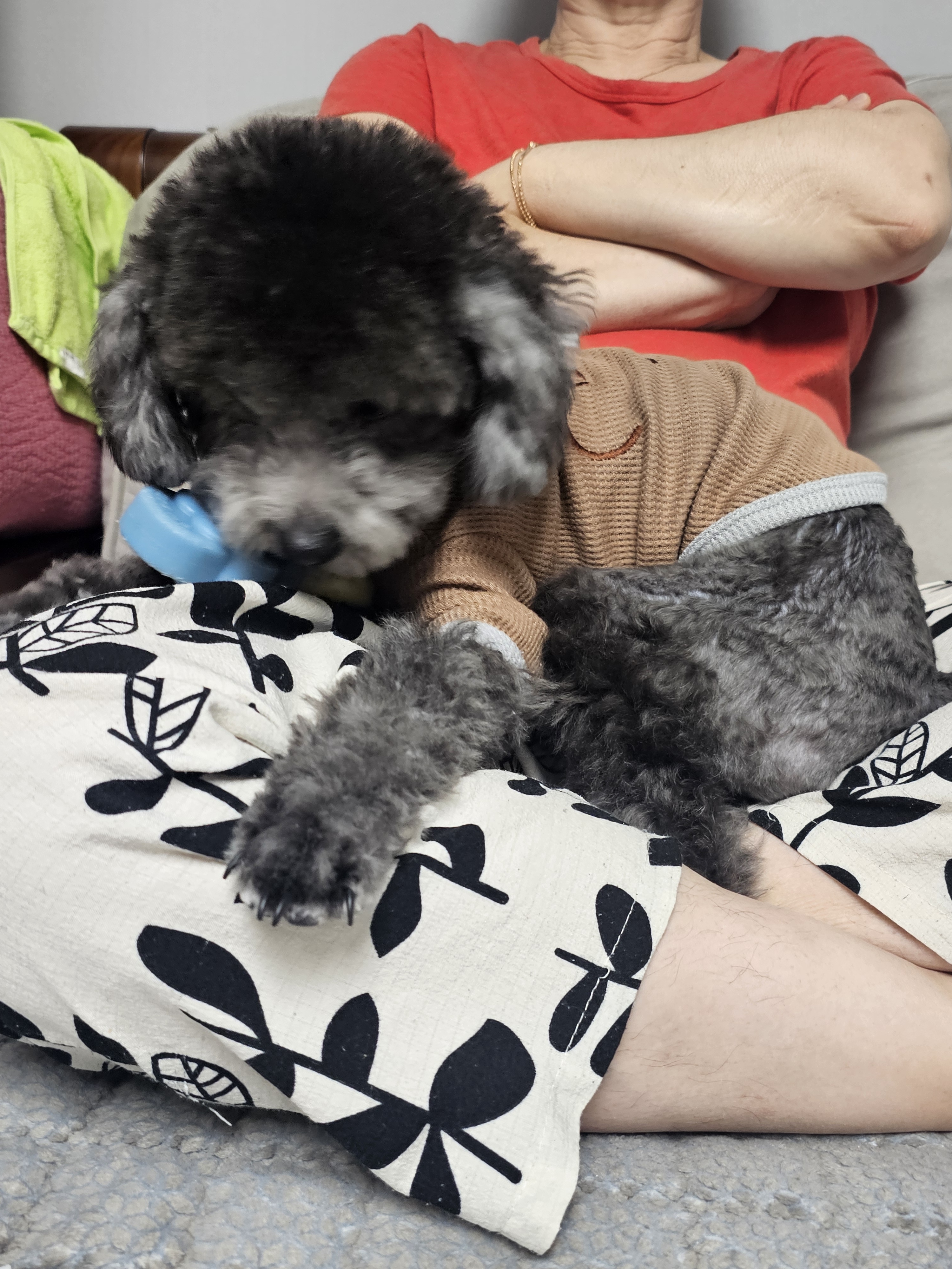 리뷰 이미지