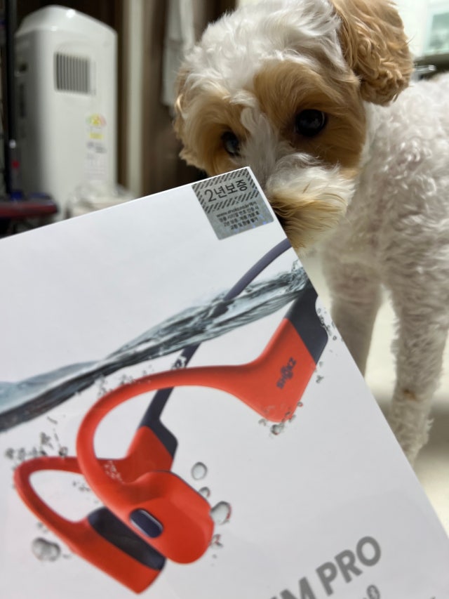 IMG_2613.jpeg?type=w640