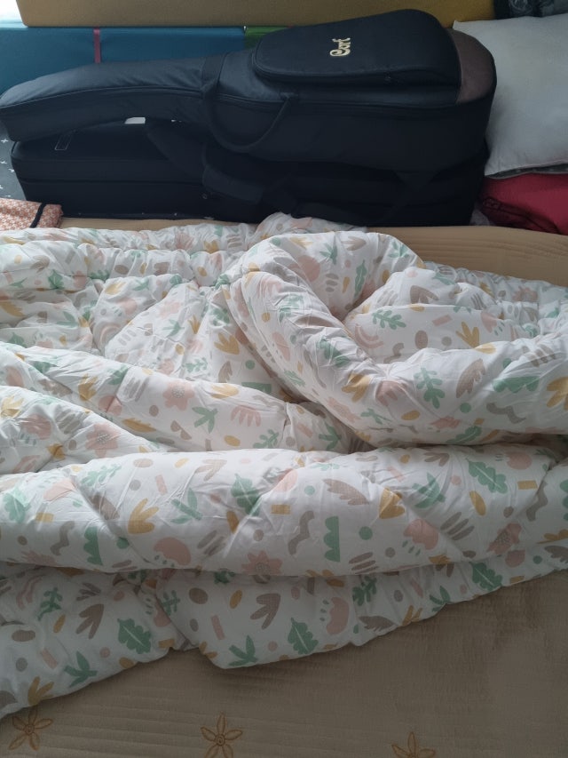 이미지를 찾을 수 없습니다.