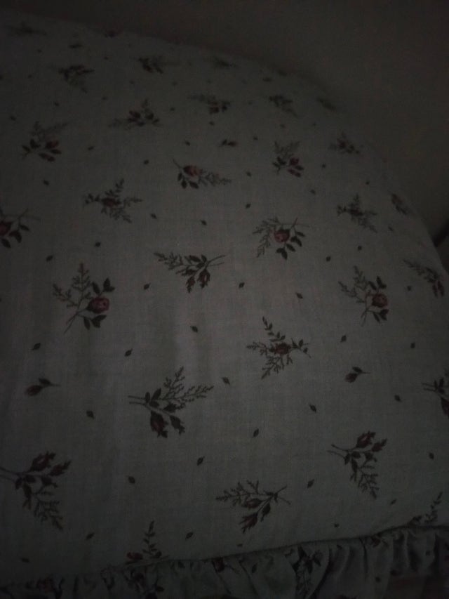 이미지를 찾을 수 없습니다.